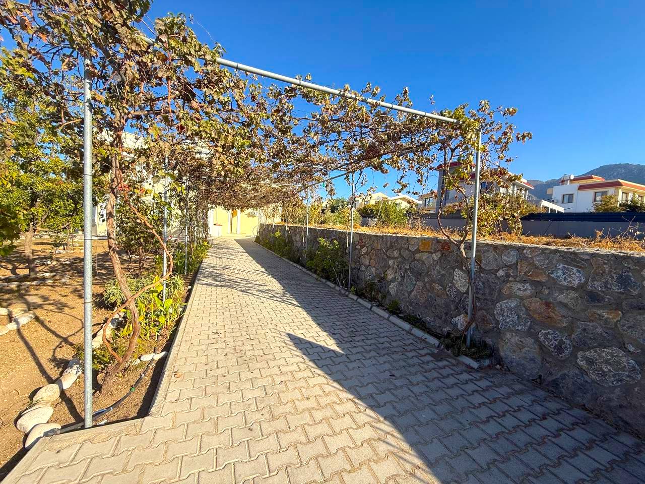 Аренда просторной виллы 4+1 в Алсанджаке